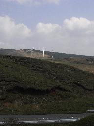 RIMG2764