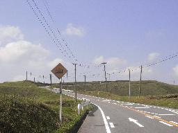 RIMG2767