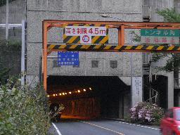 RIMG2919