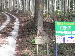 RIMG3245