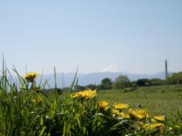 P20100501_093124_104