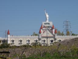 P20100501_095754_108