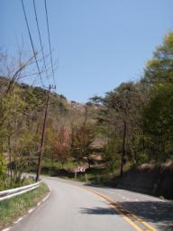 P20100501_110141_111