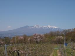 P20100501_112406_115