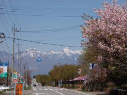 P20100501_112730_118