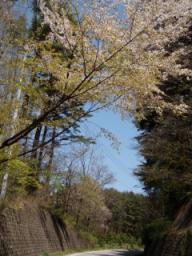 P20100501_113544_124