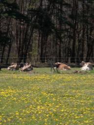 P20100501_132251_137