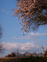 P20100501_180302_175