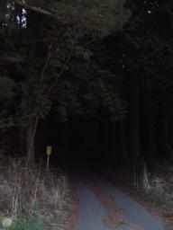 P20100501_182128_180