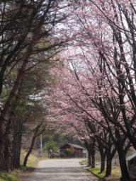 P20100502_090910_188