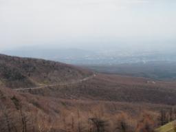 P20100502_114149_210