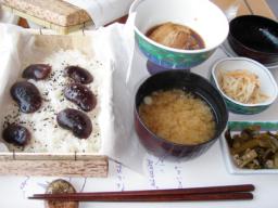 P20100502_115824_214