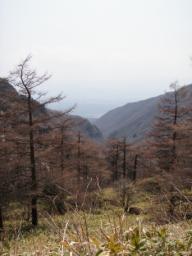 P20100502_130917_234