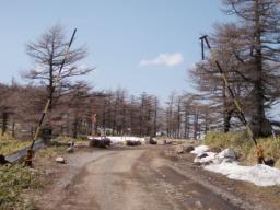 P20100502_133400_238