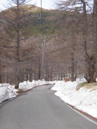 P20100502_134052_243