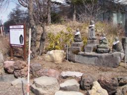 P20100502_135124_246