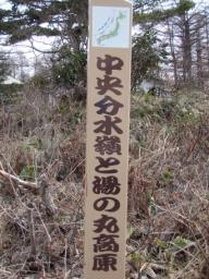 P20100502_135254_248