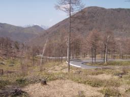 P20100502_135630_250