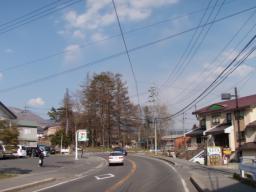 P20100502_155644_267