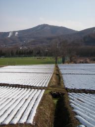 P20100502_160232_271