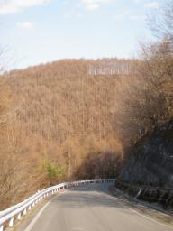 P20100502_160842_274