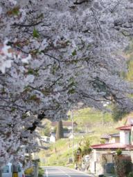 P20100502_162231_279