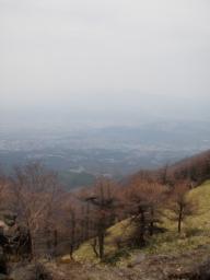 P20100502_111530_205