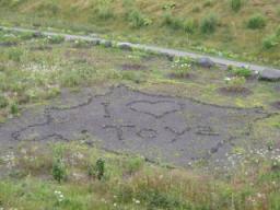 P20090803_060220_123