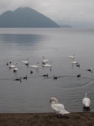 P20090803_091020_148