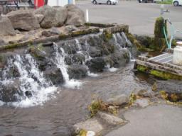 P20090803_121347_177