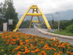 P20090803_141711_184