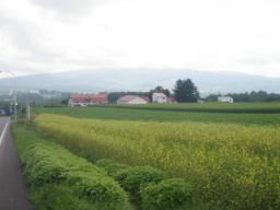 P20090803_142407_187