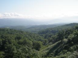 P20090803_151548_195