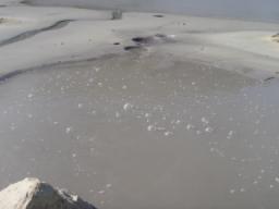 P20090803_153557_202