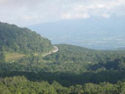 P20090803_161912_214