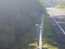 P20090803_164027_219