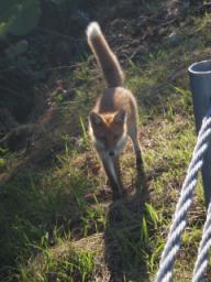 P20090803_164113_223