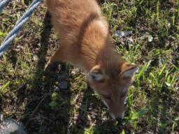 P20090803_164137_225