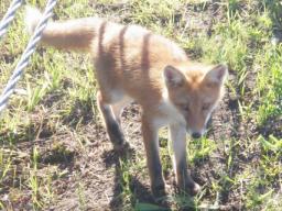 P20090803_164149_226