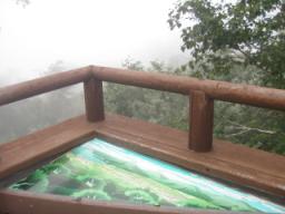 P20090803_165952_230