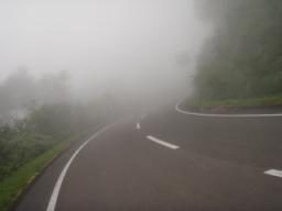 P20090803_171910_234