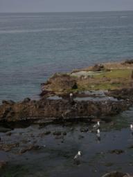 P20090804_091033_284