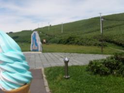 P20090804_110519_299