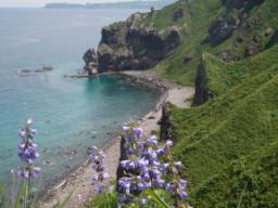 P20090804_111415_305