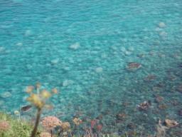 P20090804_111707_308