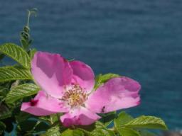 P20090804_111947_311