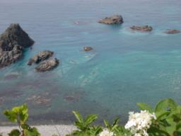 P20090804_130950_328