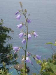 P20090804_133047_341