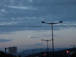 P20090804_184316_385