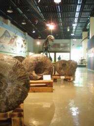 P20090805_140653_419